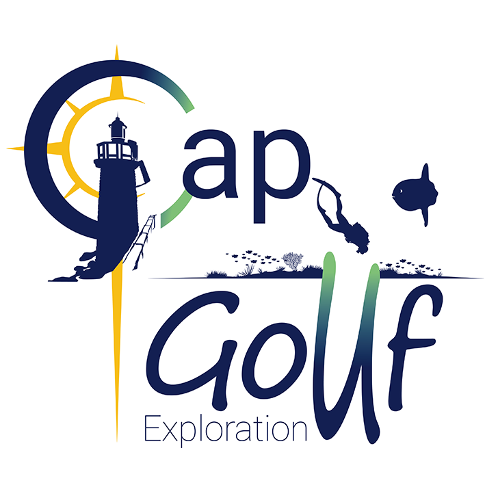 Création des adhésifs pour Cap Gouf à Capbreton